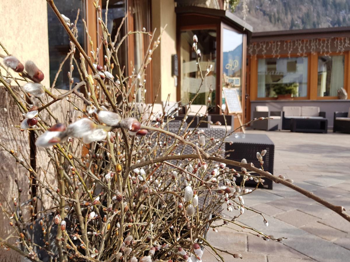 Hotel Pedretti Branzi Bagian luar foto